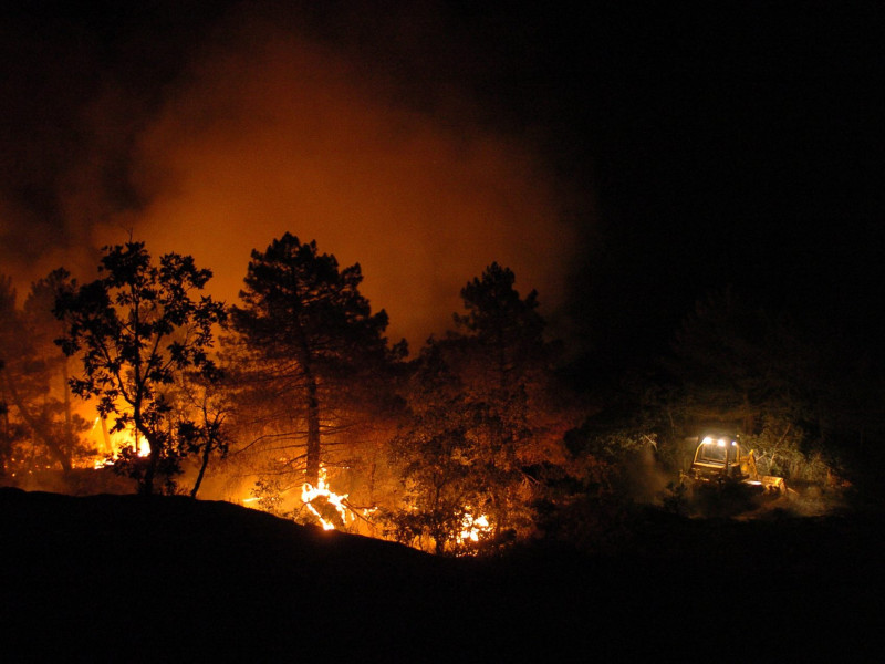 El fuego quemó 13 mil hectáreas