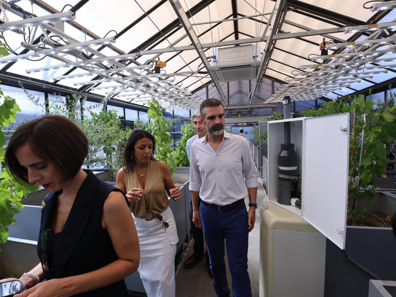Fernández-Pacheco, durante su visita al Ifapa de CórdobaLa Consejería de Agricultura, Pesca, Agua y Desarrollo Rural de la Junta de Andalucía, a través del Instituto Andaluz de Investigación y Formación Agraria, Pesquera y de la Producción Ecológica (Ifapa), ha puesto en marcha un laboratorio de sequía y clima futuro en cultivos mediterráneos como el olivo, los frutos secos, los cítricos, la vid y en otros cultivos importantes para la agricultura andaluza, un proyecto que es pionero a nivel mundial.POLITICA ANDALUCÍA ESPAÑA EUROPA CÓRDOBA ECONOMIAMADERO CUBERO/EUROPA PRESS