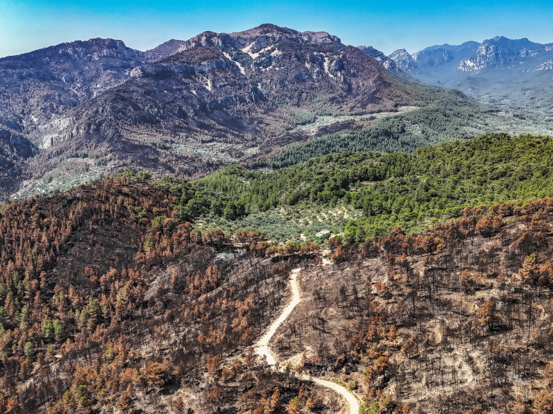 Se analiza la gestión de las primeras horas del fuego
