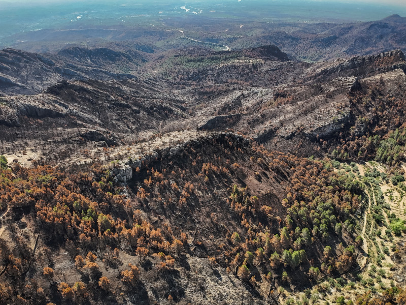 El incendio ha consumido el 80% del municipio de Xerta