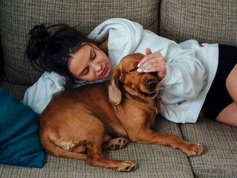A veces, los perros se apegan más a nosotros porque perciben algo que ni nosotros sentimos aún
