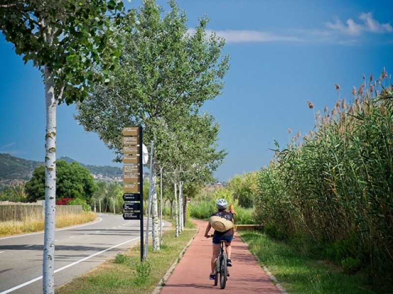Ciclista paseando en el parc agrari del Baix Llobregat