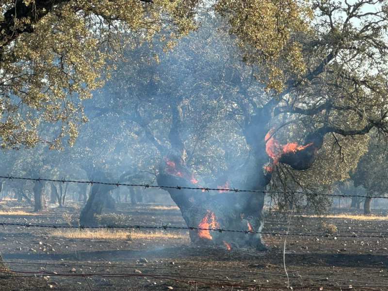 Incendio en Extremadura