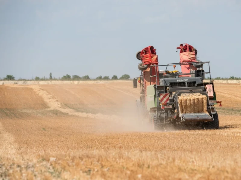El campo es uno de los sectores que más mano de obra necesita