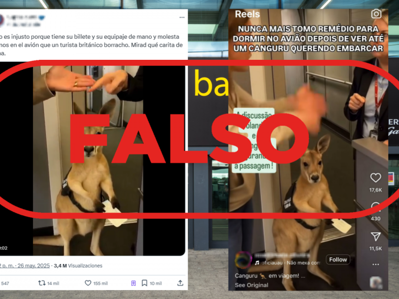 El falso video del canguro estaba creado con IA