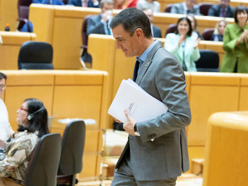 Pedro Sánchez lidera al PSOE en el Congreso de los Diputados