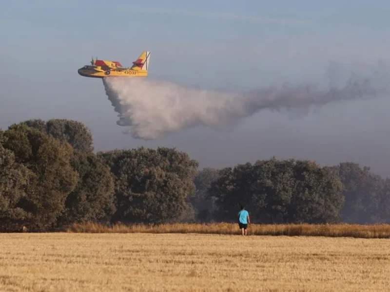 Incendio en el Monte de Palencia