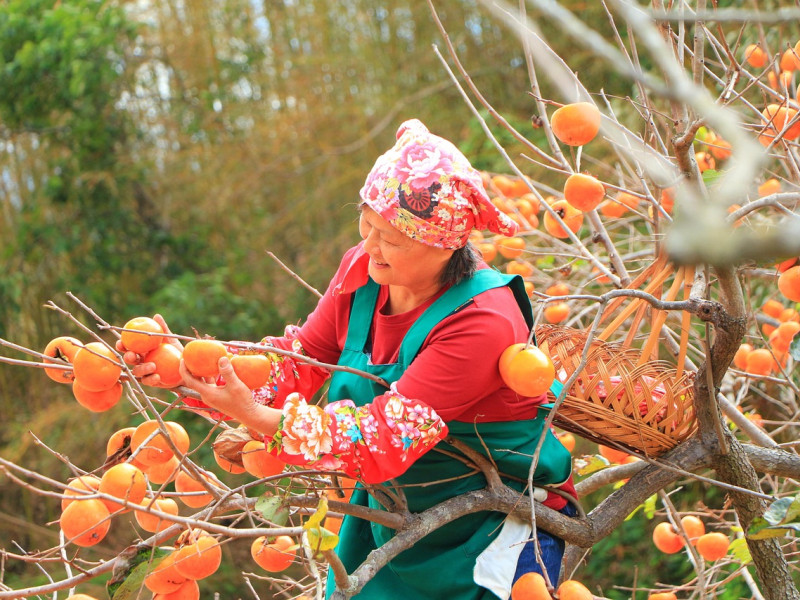 Trabajadora en el campo