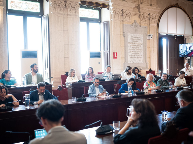 Todos los portavoces municipales intervinieron