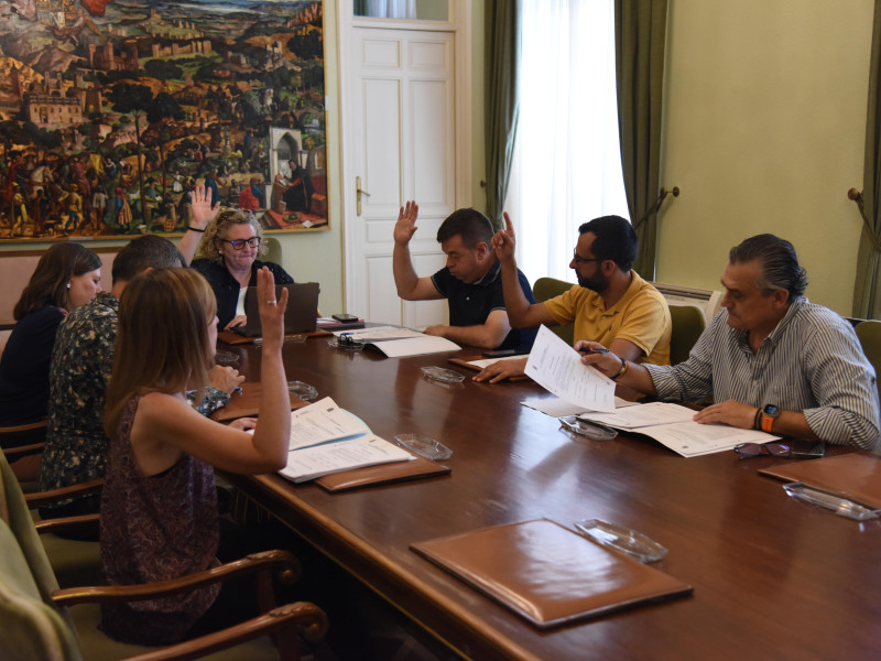 Junta de Gobierno de la Diputación de Guadalajara en la que se aprobó con el apoyo de todos los grupos la medida