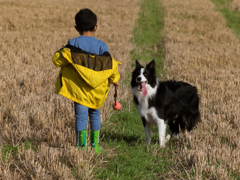 Un niño pasea con su perro