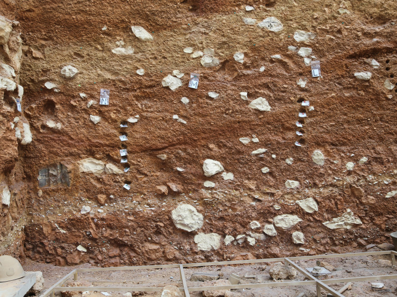 Atapuerca. Burgos.