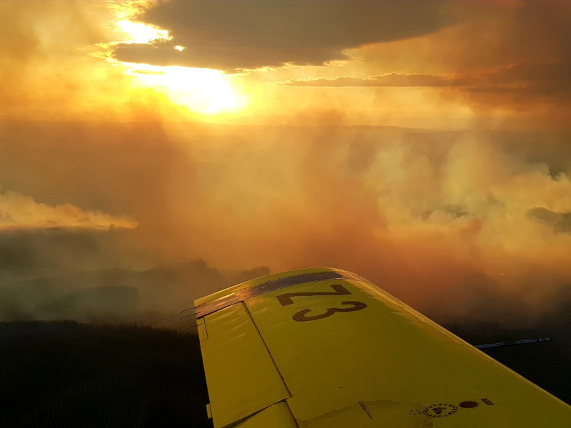 Vuelo al atardecer