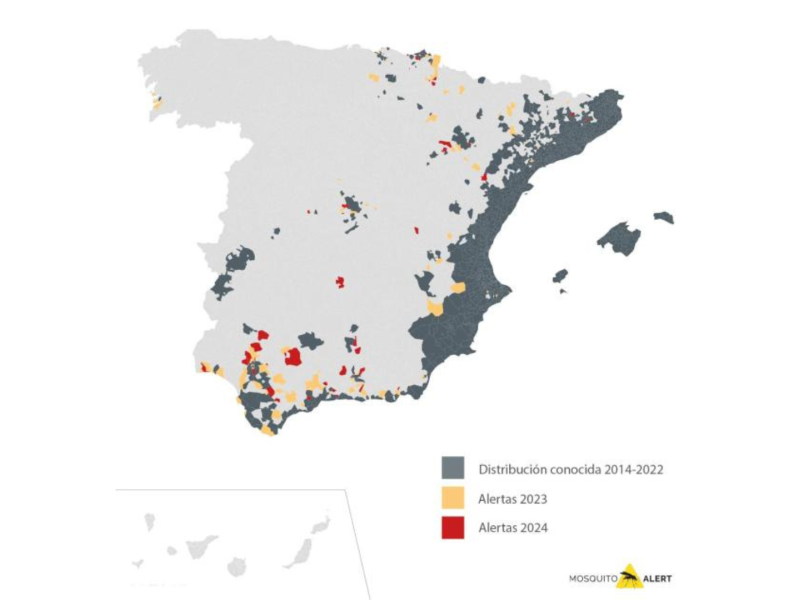 El mapa del mosquito tigre en España