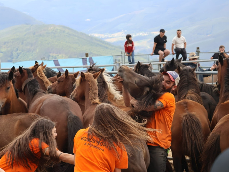 Las fiestas tradicionales son uno de los grandes atractivos de la provincia. En la foto: Rapa das Bestas en A Pontenova