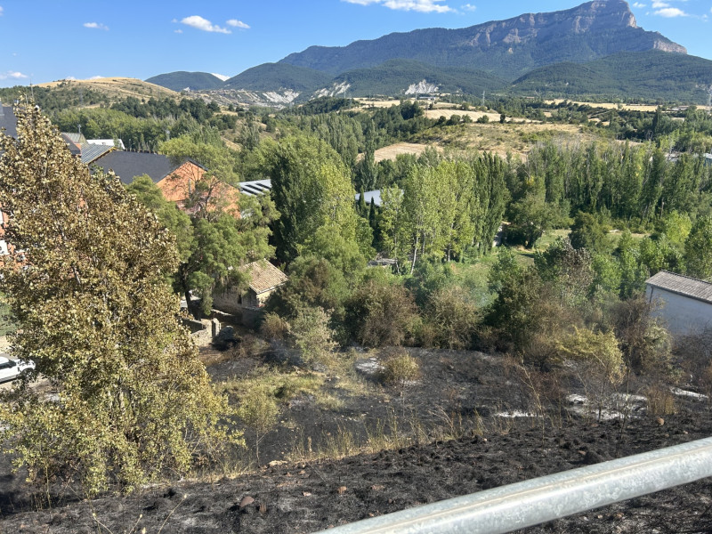 El fuego ha calcinado entre tres y cuatro hectáreas