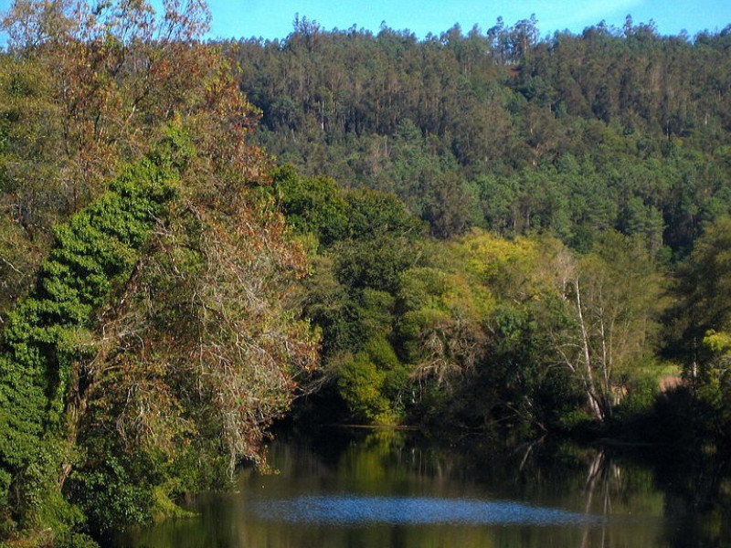 Pontemaceira