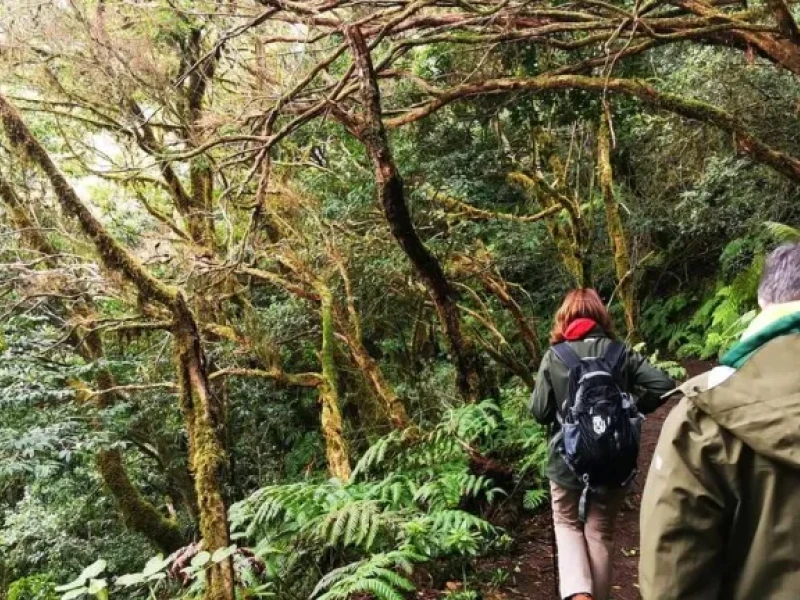 Parque natural de Anaga