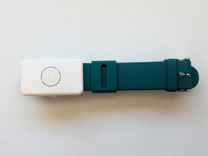 La pulsera