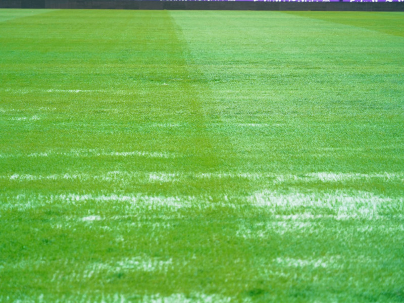 Estado actual del césped del Estadio José Zorrilla