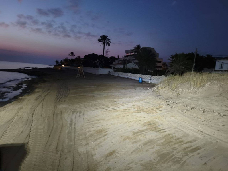 A pesar de los trabajos de retirada, el Ayuntamiento recuerda que la posidonia es un indicador de la buena salud del ecosistema marino