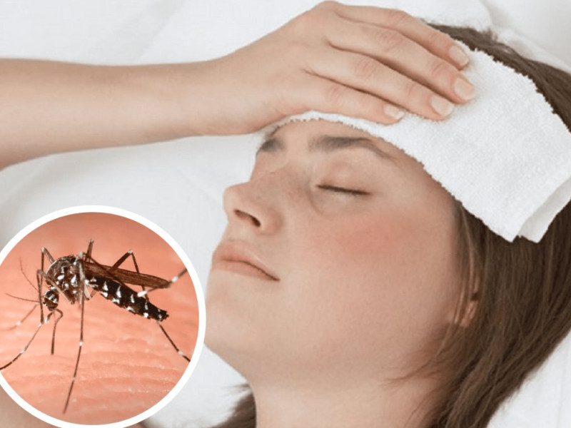 Los síntomas del dengue son fatiga, fiebre, erupción cutánea y dolor muscular entre otros
