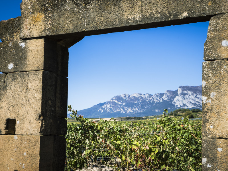 Bodega Viña Laguardia