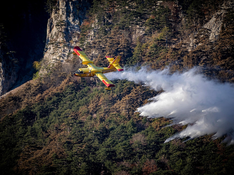 Incendio forestal