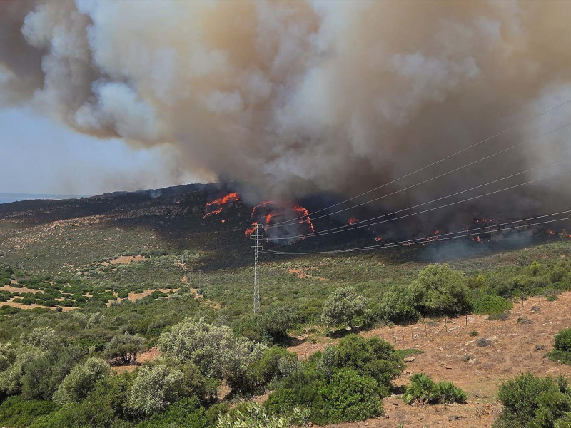 Imágenes del incendio en Tarifa. A 11 de agosto de 2025 en Tarifa, Cádiz