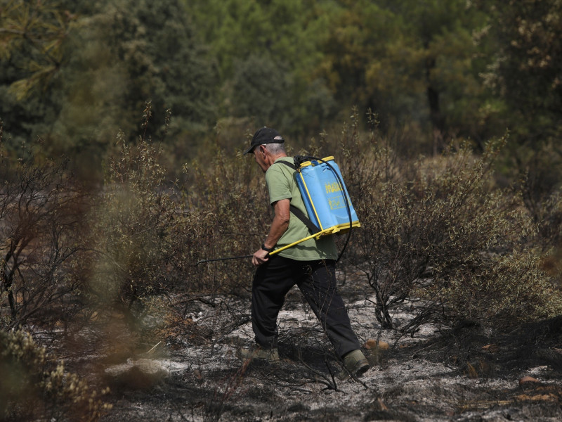 Voluntarios ayudan a refrescar el campo quemado, a 12 de agosto de 2025, en León, Castilla y León
