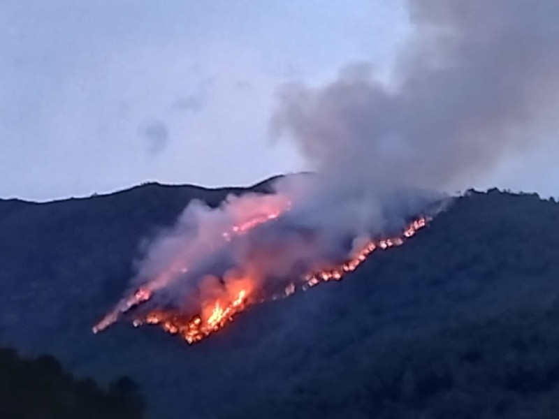 Incendio forestal en Extremadura, este miércoles