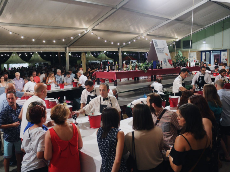 Imagen del festival vino del Somontano 2025.
