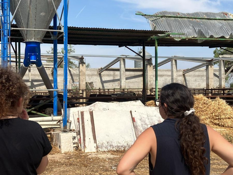 Turbonada en Monegros