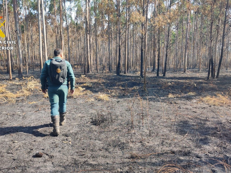 La Guardia Civil inspecciona el monte quemado tras un incendio en Laxe (A Coruña)