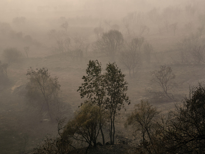 Área calcinada por el incendio forestal que permanece activo en Manzaneda
