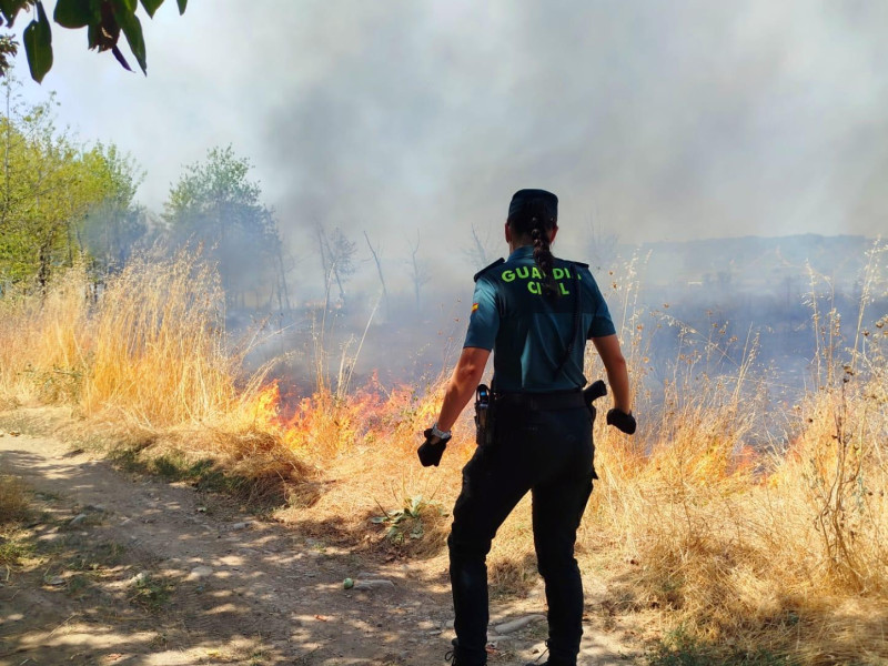 Los incendios en El Bierzo se agravan: riesgo de unión entre los fuegos de Las Médulas y Llamas de Cabrera
