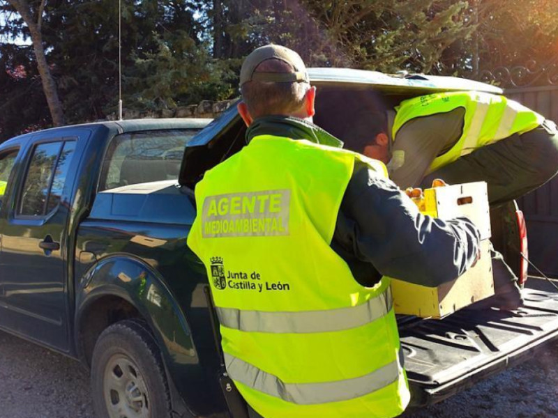 Agente medioambiental de la Junta de Castilla y León.