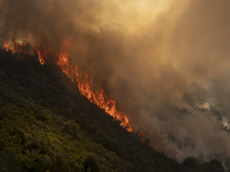 OURENSE, 02/08/2025.- Llamas del incendio que afecta al municipio ourensano de Vilardevós y que, según las últimas estimaciones de la Xunta, que ha decretado el nivel 2 de emergencia por su proximidad a núcleos de población, afecta a 400 hectáreas. EFE/ Brais Lorenzo