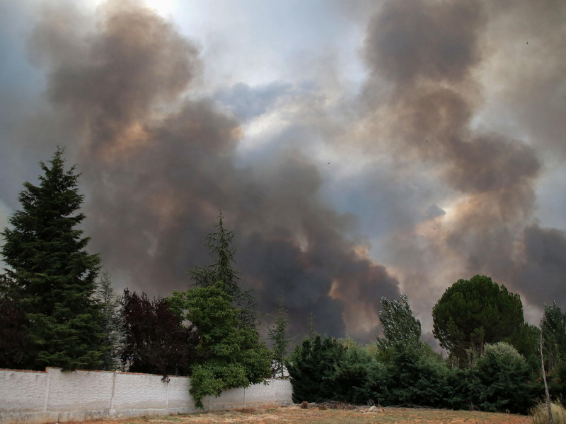 El avance de las llamas en la provincia de León del incendio iniciado en Molezuelas de la Carballeda (Zamora)