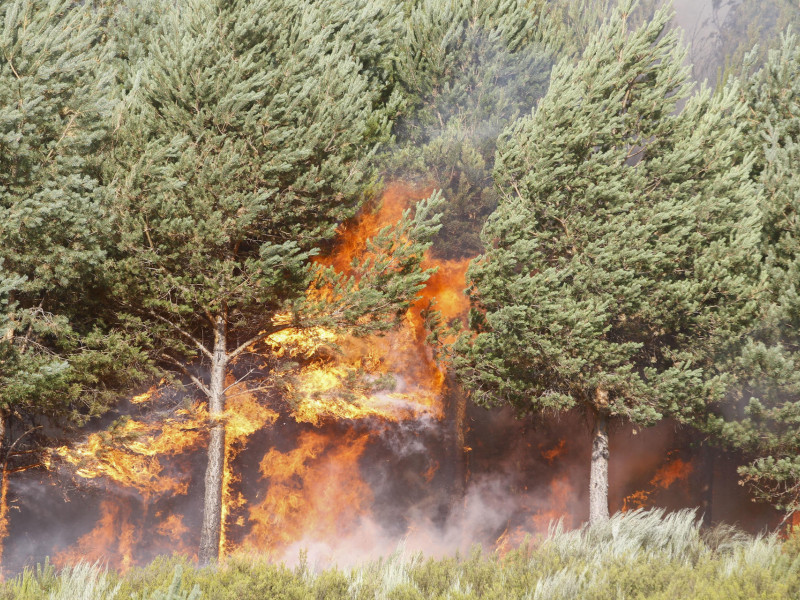 Los brigadistas intentan contener el incendio en la zona limítrofe entre Ourense y Zamora