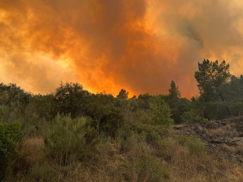 Incendio forestal en Quiroga