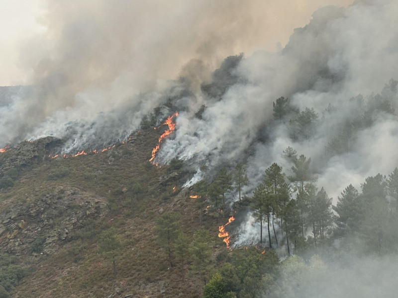 Incendio forestal en Quiroga