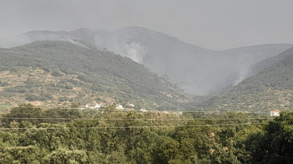 Incendio de Jarilla a su paso por Hervás