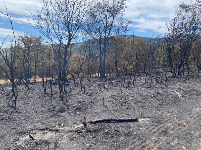 Zona arrasada por el fuego entre A Pobra de Trives y Chandrexa de Queixa (Ourense)