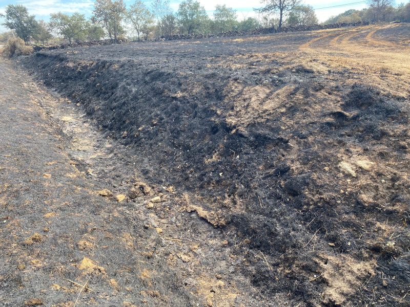 Camino quemado por el incendio de Chandrexa de Queixa (Ourense)