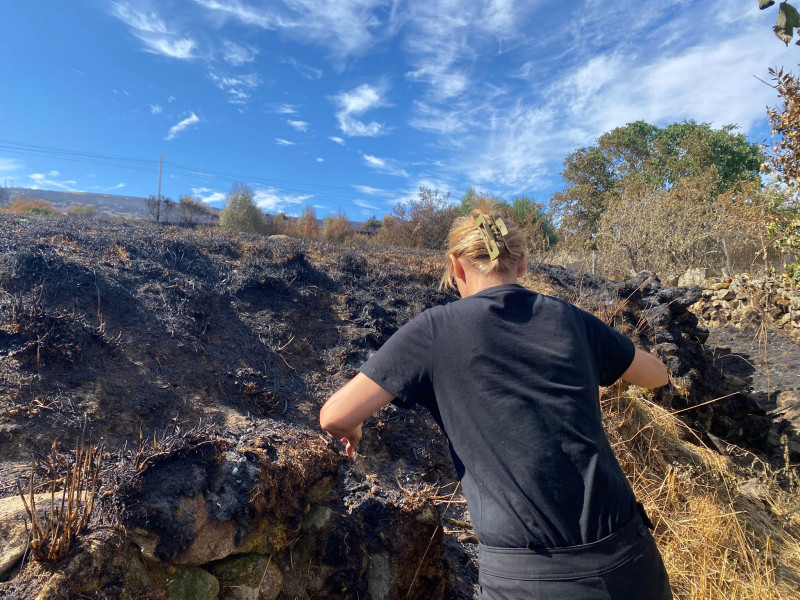 Reconociendo el terreno quemado tras el incendio de Chandrexa de Queixa (Ourense)