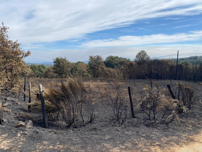 Panorama desolador en la zona cero de los incendios de Galicia