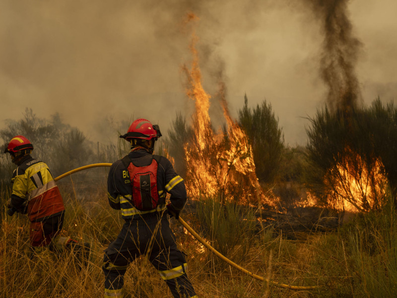 Vecinos y bomberos intentan aplacar el fuego que afecta este viernes a Cualedro (Ourense, Galicia)