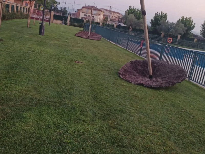 Sombrillas arrancadas