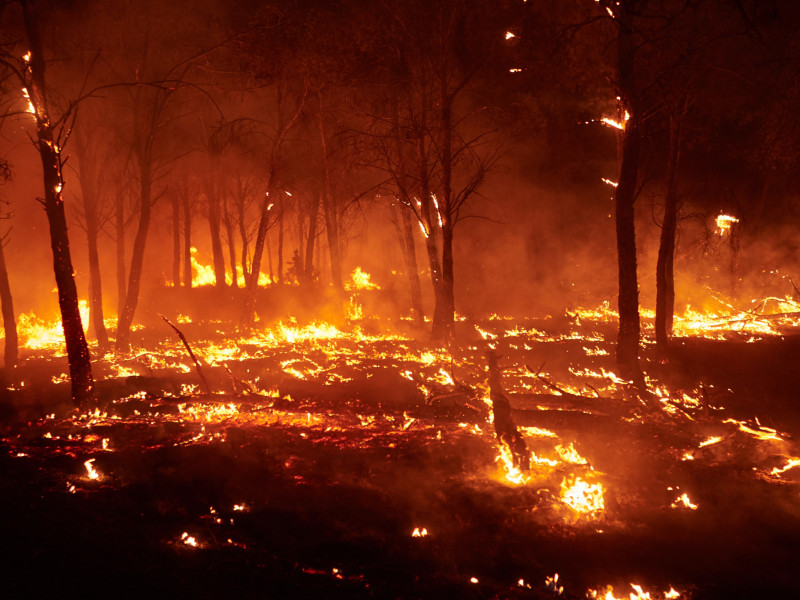 incendios